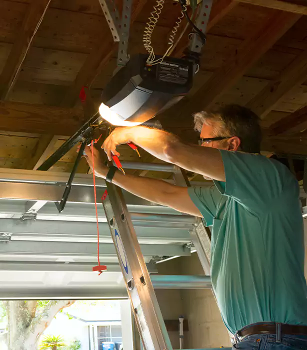 Wayne Dalton Garage Door Opener Repair in Paradise, NV