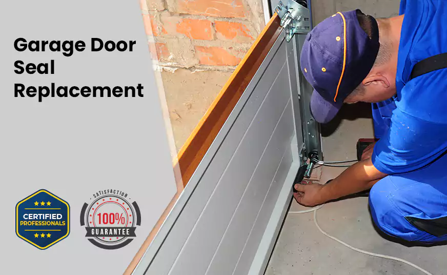 Garage Door Seal Replacement in Paradise, NV
