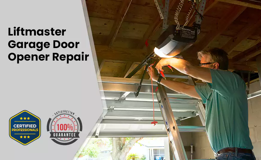 LiftMaster Garage Door Opener Repair in Paradise, NV